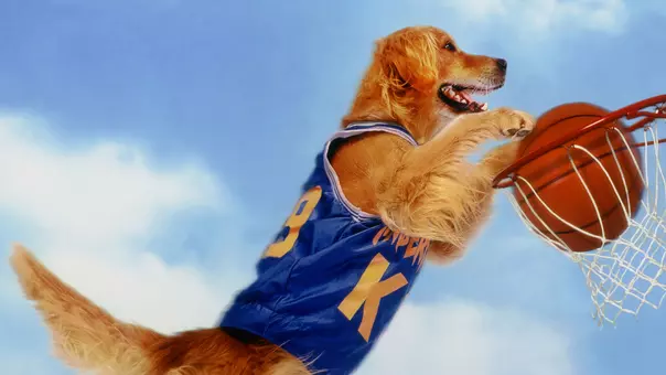Air Bud