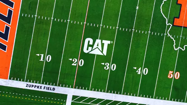 Cat graphic 2