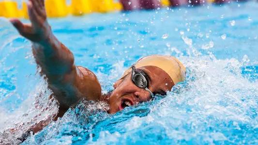 17th FINA World Championships Await