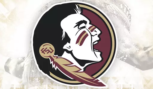 2017 Football Media Guide