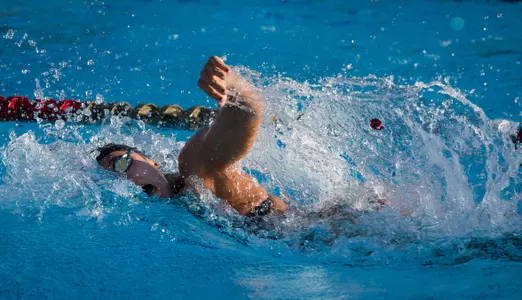 FSU vs. FGCU/UWF/Florida Southern