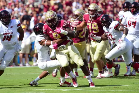 Late Field Goal Sinks Noles