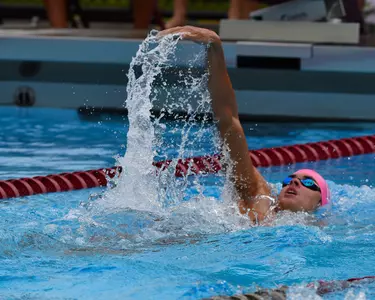 Swimming & Diving Take Down Minnesota