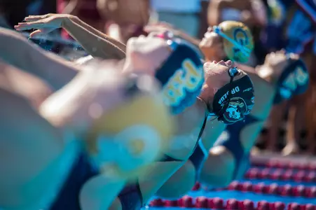 Photos: FSU vs. GT & Pitt