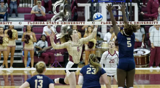 Volleyball Prepares for NCAA First Round Matchup Against Gators