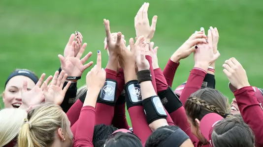 Softball Starts 2019 With JoAnne Graf Classic
