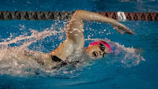 Swim & Dive Hits The Road To Face Georgia Tech