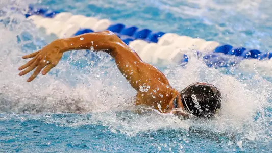 Six Swimmers, Relays Headed to NCAAs