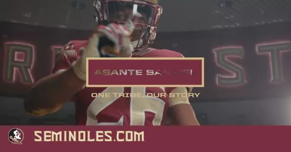 Asante Samuel Jr. Image