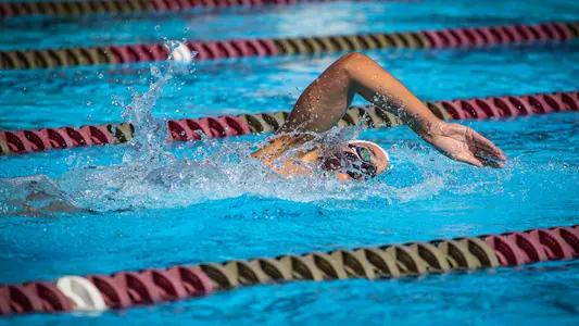 No.16/22 Noles Ready to Host LSU on Friday