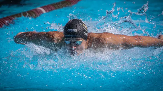 Men’s Swimming to Take Over ACCs on Wednesday