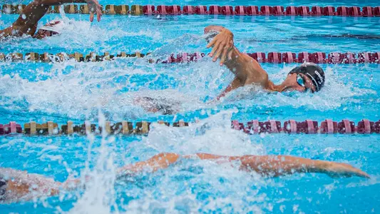 No. 16 Noles Start NCAA Championships on Wednesday