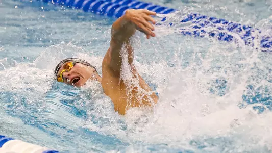 No. 16 Noles Earn Three All-America Honorable Mention Accolades