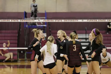 Volleyball Wins Seminole Invitational Title