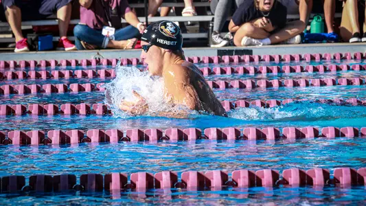 Noles Split Dual with Tigers
