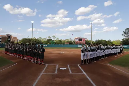 Noles Fall to Hokies in Nine Innings