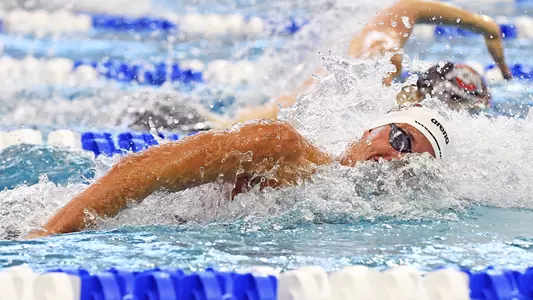 Noles Ready for FINA World Championships