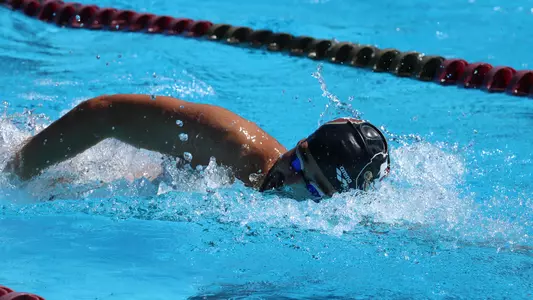Noles Set for CSCAA Open Water Championships