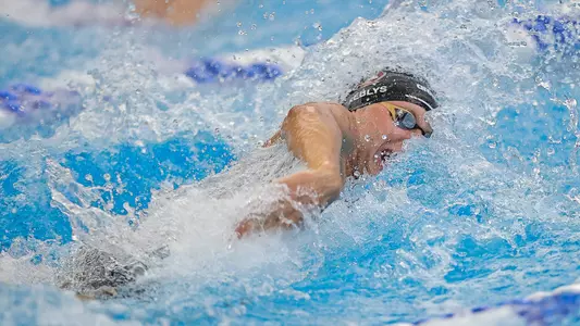 FSU Swim and Dive April Update