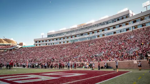 FB Stadium Crowd