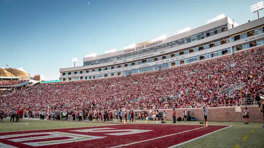 FB Stadium Crowd