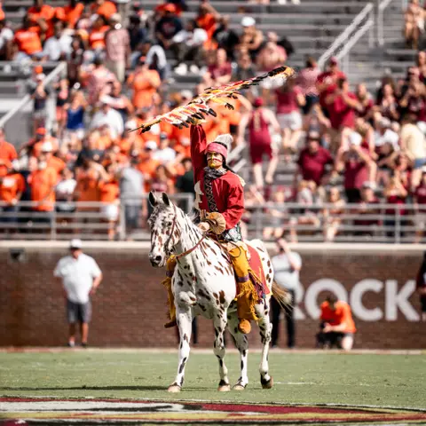 FSU Football vs Syracuse
Osceola & Renegade,
f/3.2 | 1/1250/sec | ISO 160