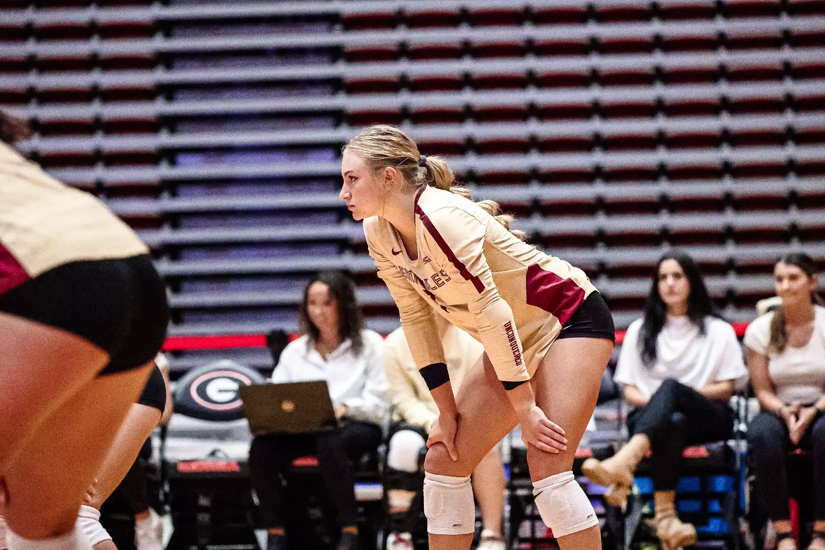 2023 Florida State Volleyball