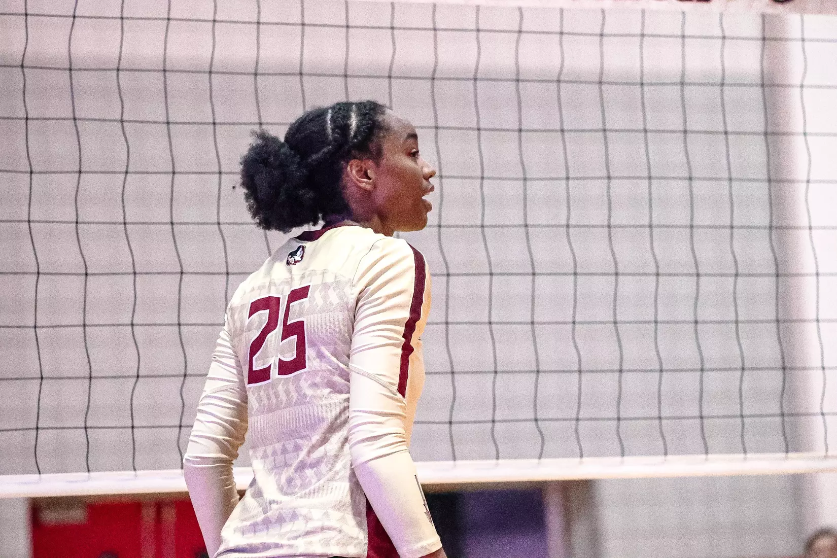 2023 Florida State Volleyball