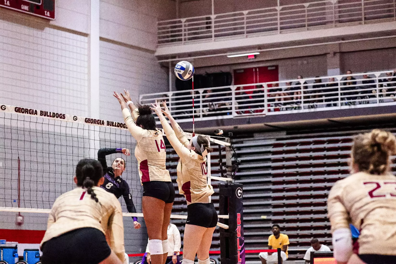 2023 Florida State Volleyball