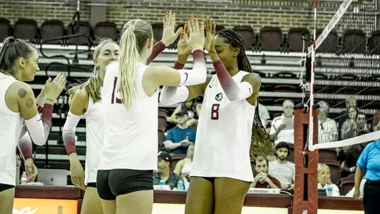 Volleyball Sweeps UNF Image