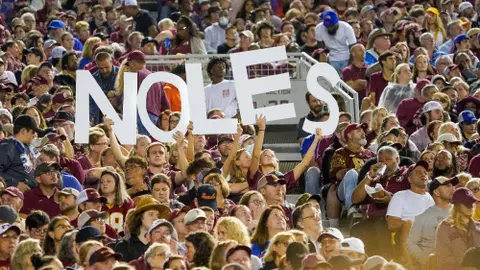 Football Crowd