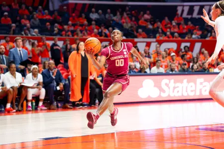 No.19 Noles Fall to Illinois Image