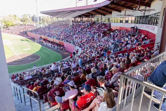 Baseball Crowd Shot 2023