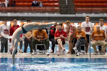 Mattice Joins Noles as Head Diving Coach Image