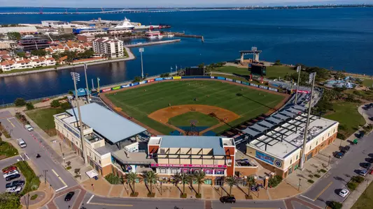 Blue Wahoos