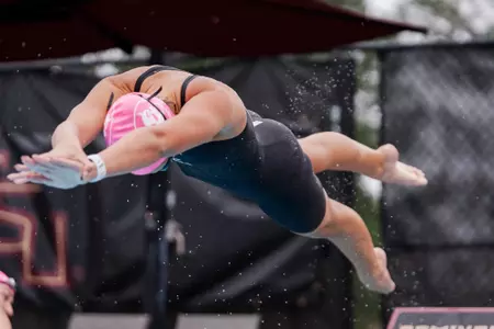 Swim and Dive