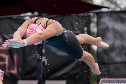 Swim and Dive