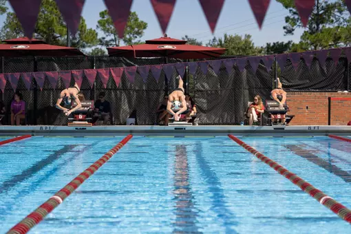 Swim/Dive