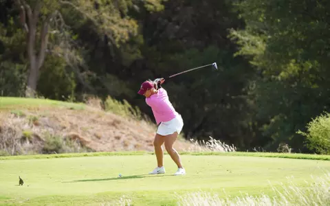 Elin for Match up Preview