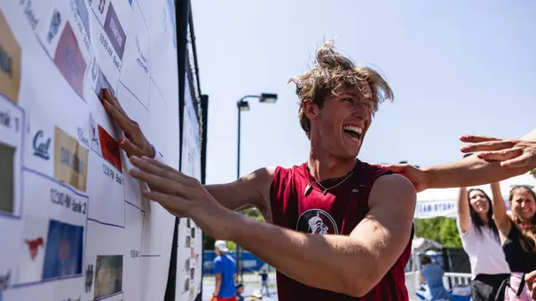 Gabor Hornung Sticker Stamps