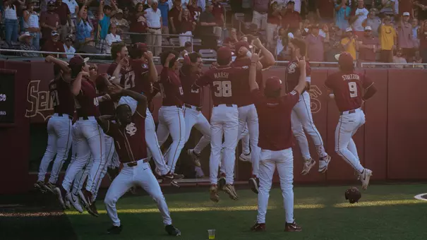 Home Run Celebration