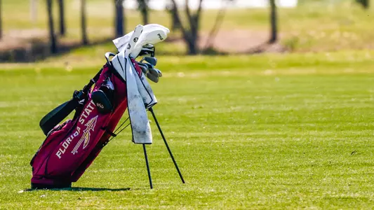 FSU Golf Bag
