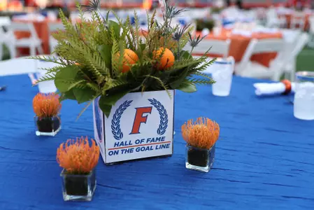 Hall of Fame on the Goal Line, presented by International Diamond Center