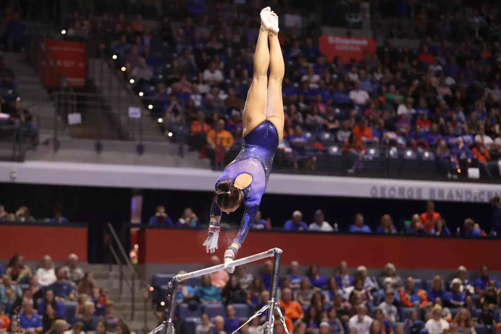 Scenes from the Gators' 198.375 - 197.775 win against the LSU Tigers