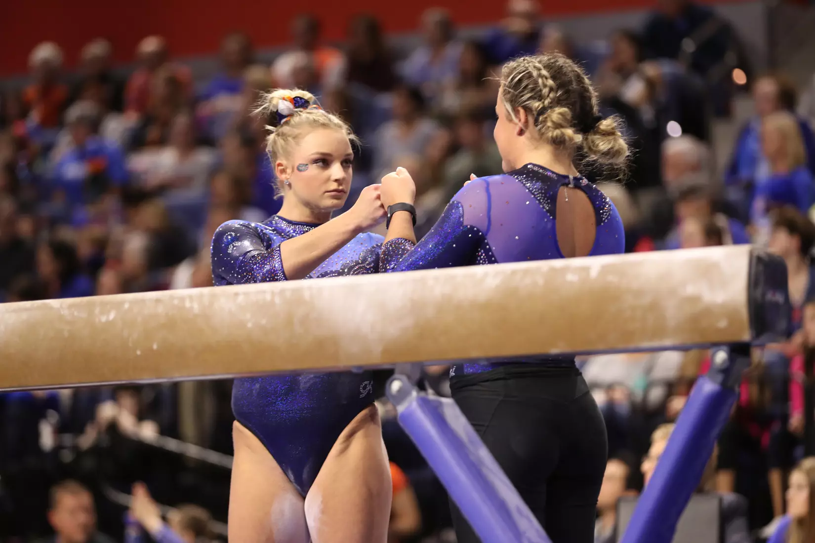 Scenes from the Gators' 198.375 - 197.775 win against the LSU Tigers
