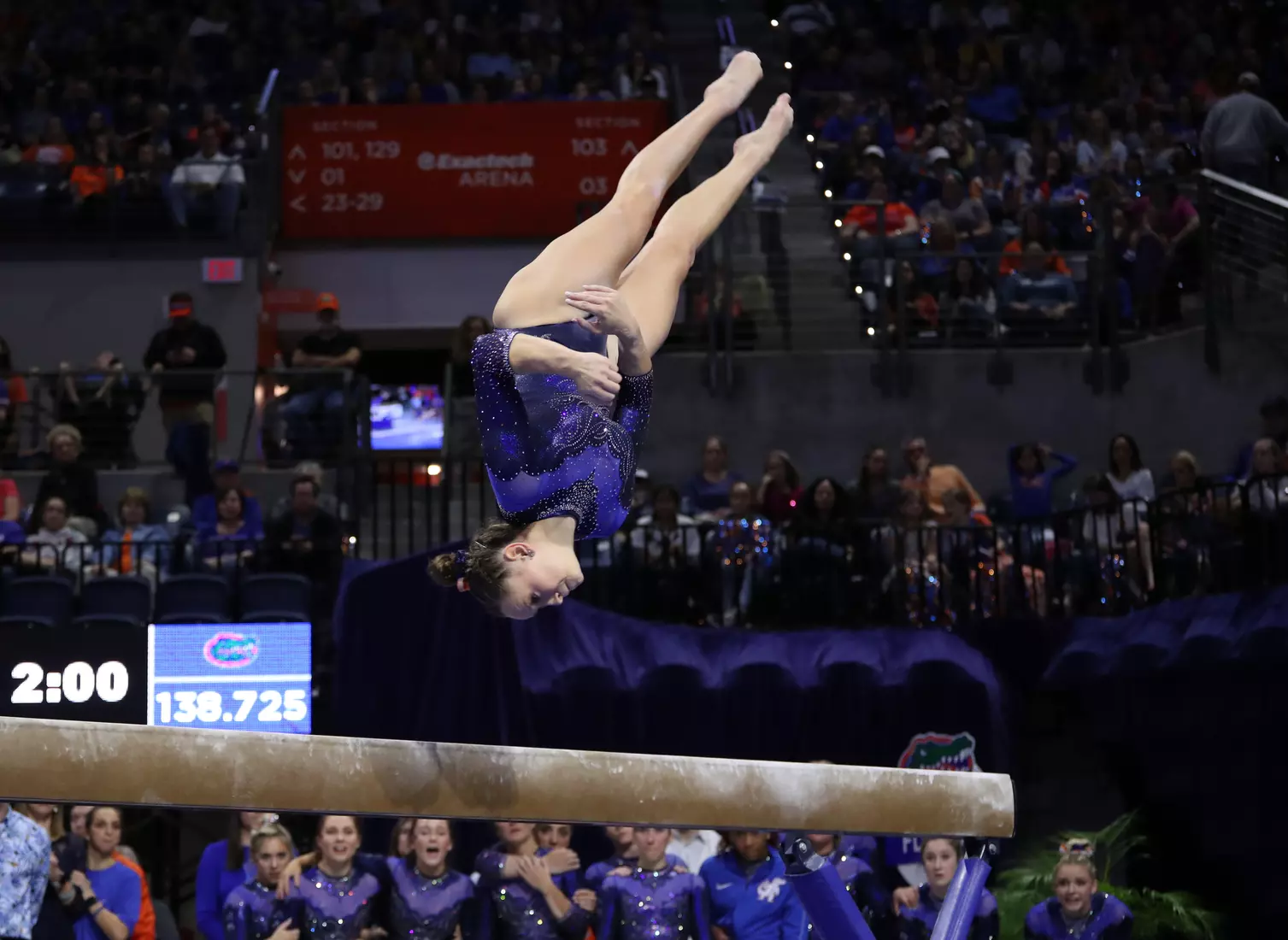 Scenes from the Gators' 198.375 - 197.775 win against the LSU Tigers