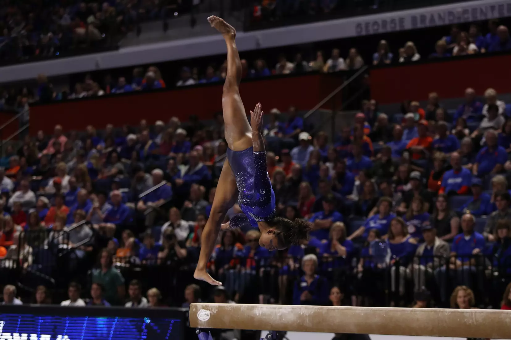 Scenes from the Gators' 198.375 - 197.775 win against the LSU Tigers