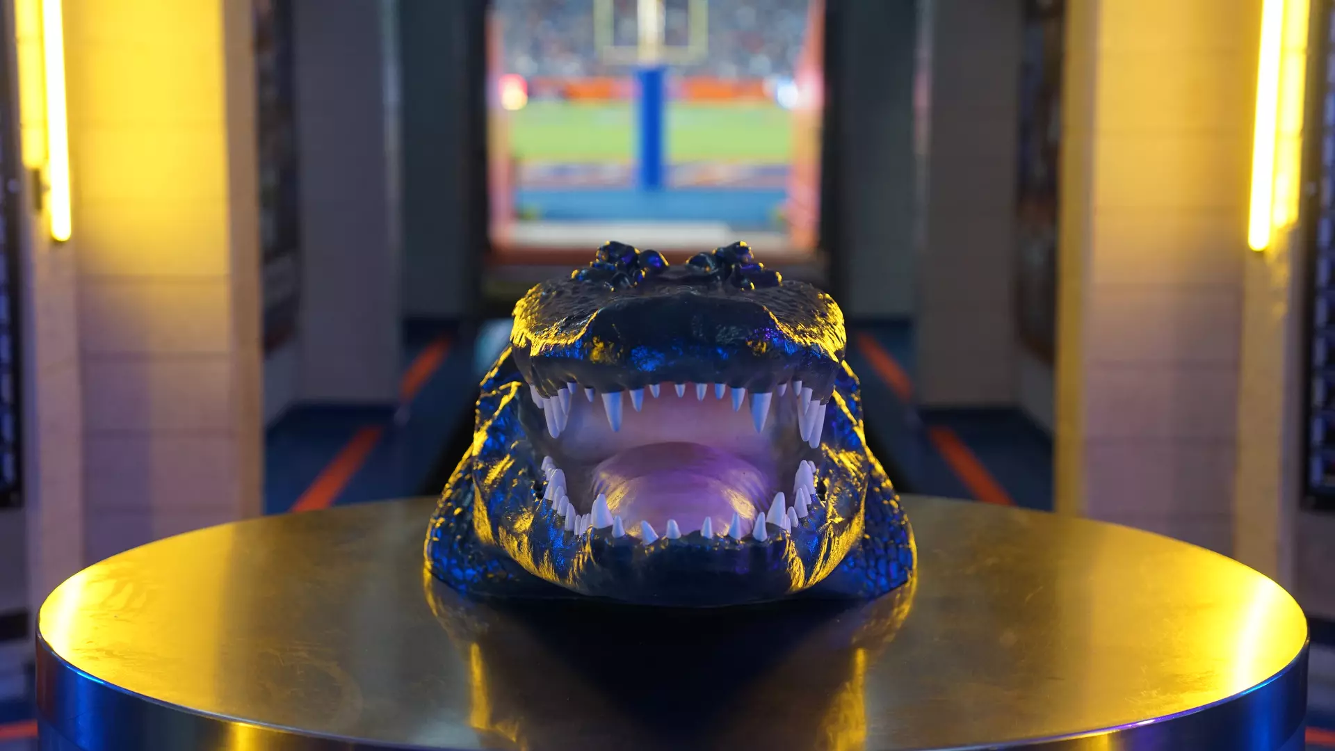 Scenes from the Gators' 63-35 win against the Razorbacks at Ben Hill Griffin Stadium