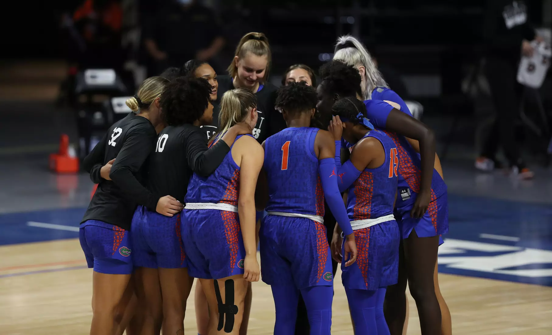 Scenes from the Gators' 88-76 against the Owls at Exactech Arena at the Stephen C. O'Connell Center