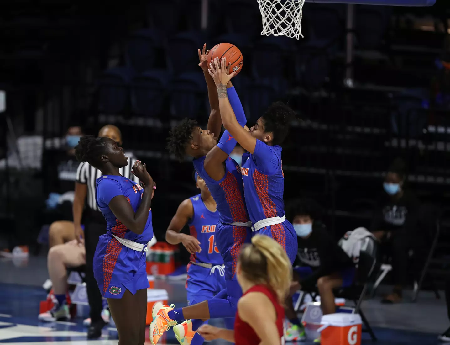 Scenes from the Gators' 88-76 against the Owls at Exactech Arena at the Stephen C. O'Connell Center